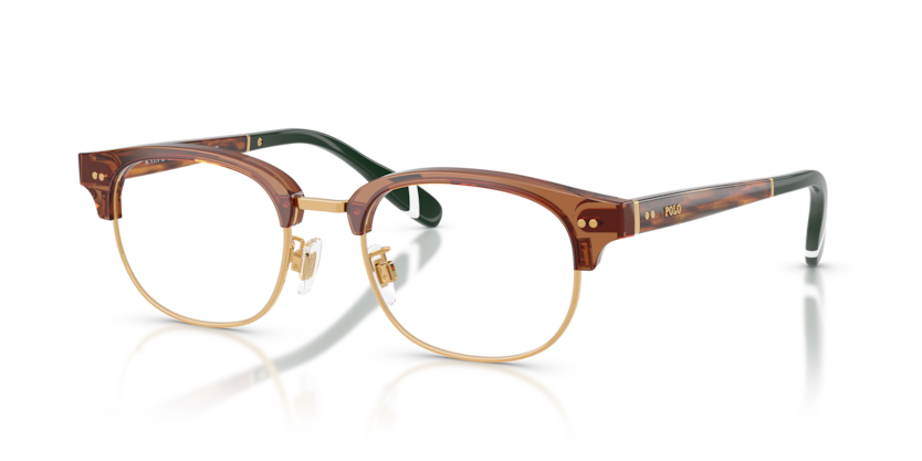 Polo PH2298D  Eyeglasses