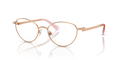 Swarovski SK1002  Eyeglasses