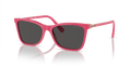 Swarovski SK6004  Sunglasses