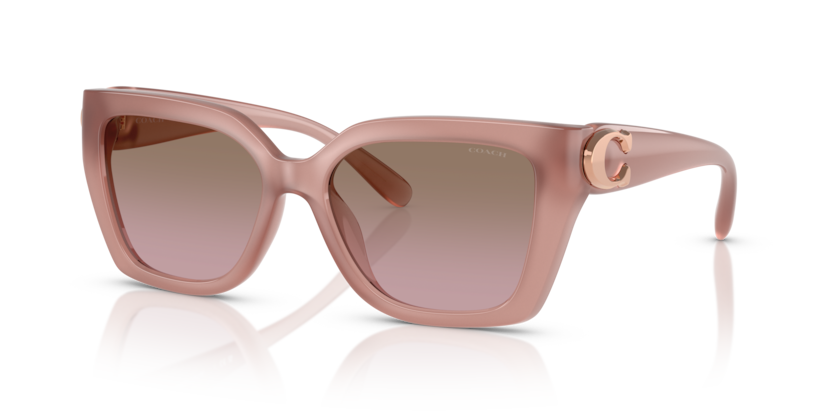 Coach HC8408F Cw202 Sunglasses