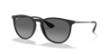 Ray-Ban RB4171F Erika Sunglasses