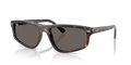 Ray-Ban RB2225  Sunglasses