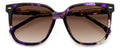 Carrera 3002/s Sunglasses