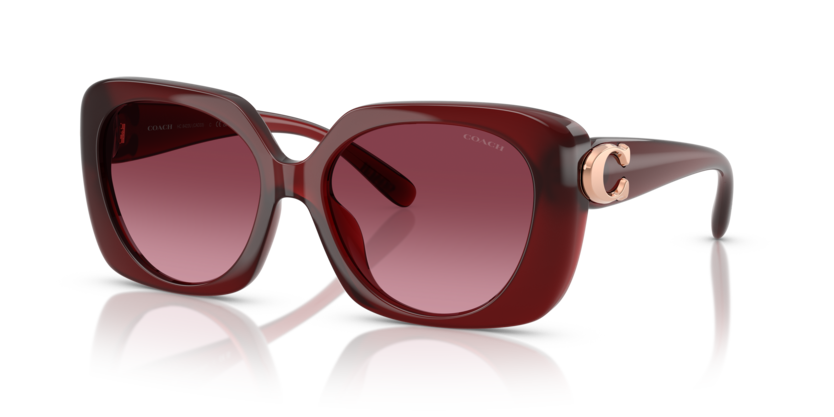 Coach HC8422U Cad33 Sunglasses