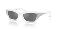 Swarovski SK6029  Sunglasses
