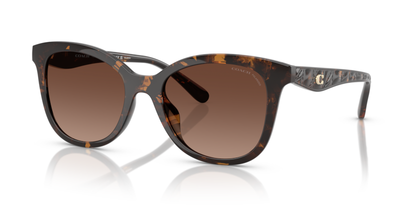 Coach HC8419U Cad25 Sunglasses
