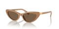 Polo PH4199U  Sunglasses