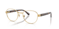 Ray-Ban Vista RX6543  Eyeglasses