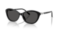 Swarovski SK6066U  Sunglasses