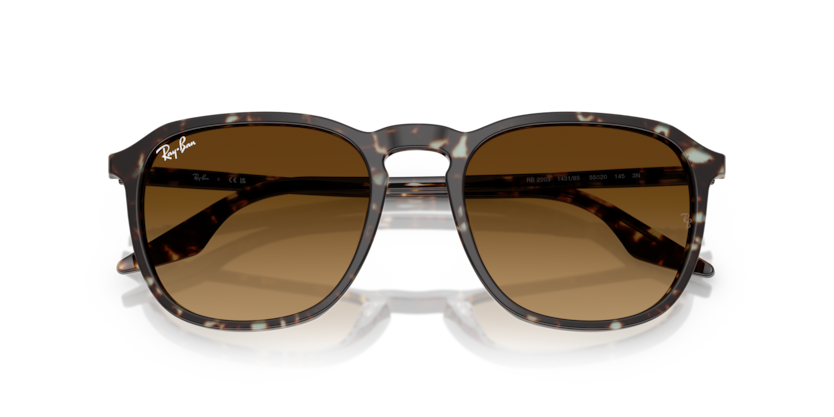 Ray-Ban RB2203  Sunglasses