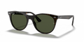 Ray-Ban RB2185 Wayfarer Ii Sunglasses