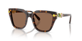Swarovski SK6041  Sunglasses