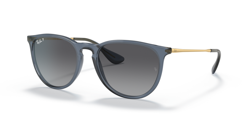 Ray-Ban RB4171 Erika Sunglasses