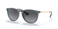 Ray-Ban RB4171 Erika Sunglasses