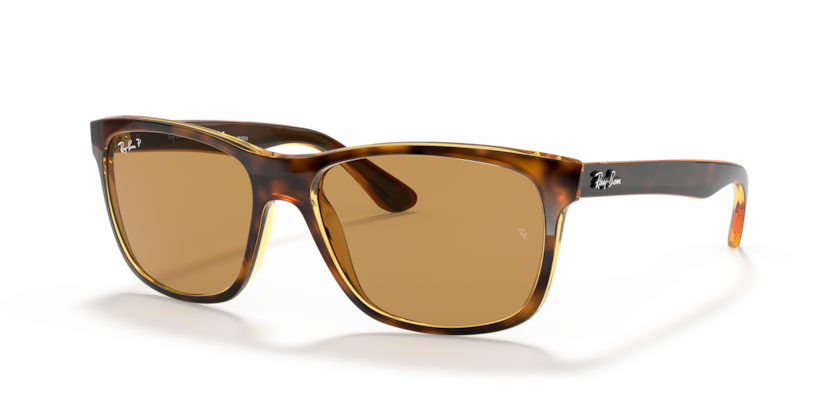 Ray-Ban RB4181 Rb4181 Sunglasses