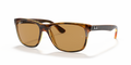 Ray-Ban RB4181 Rb4181 Sunglasses