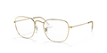Ray-Ban Vista RX3857V Frank Eyeglasses