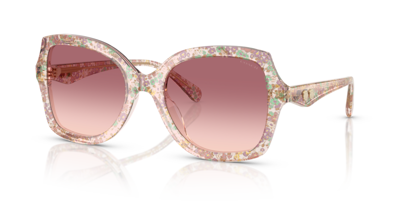 Coach HC8410U Cw225 Sunglasses