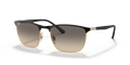 Ray-Ban RB3686  Sunglasses