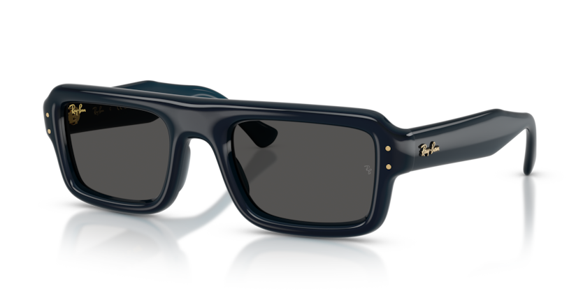 Ray-Ban RB4954  Sunglasses