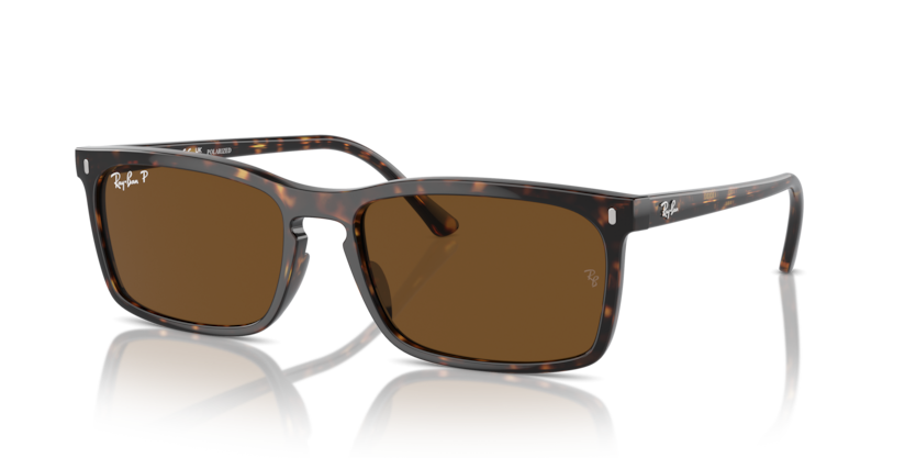 Ray-Ban RB4435  Sunglasses