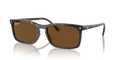 Ray-Ban RB4435  Sunglasses