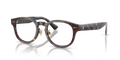 Polo PH2318F  Eyeglasses
