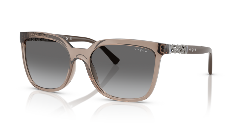 Vogue VO5633SB  Sunglasses