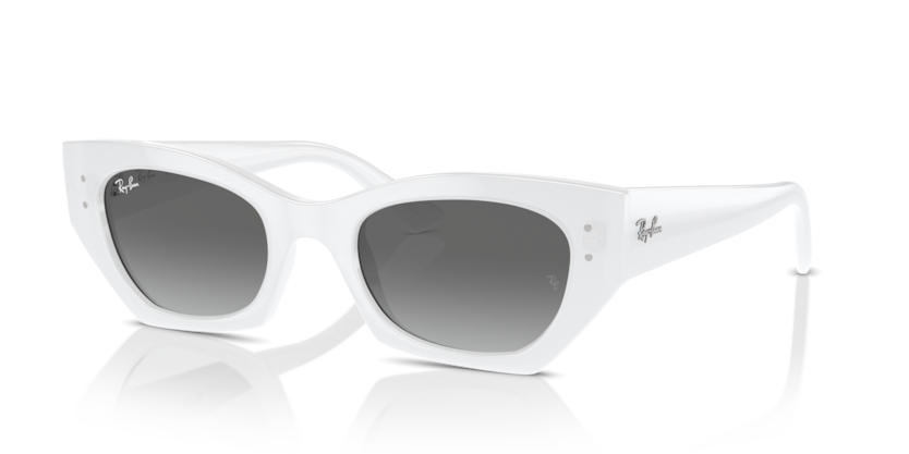 Ray-Ban RB4430F Zena Sunglasses