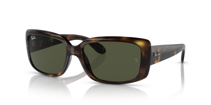Ray-Ban RB4389  Sunglasses