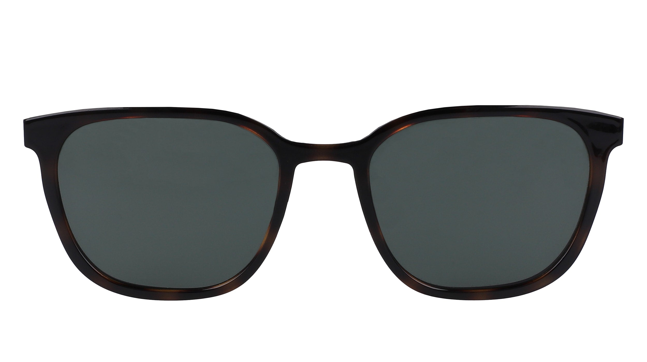 Flexon Flx1005Mgc-Clip Sunglasses