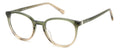 Fossil FOS 7145 Eyeglasses