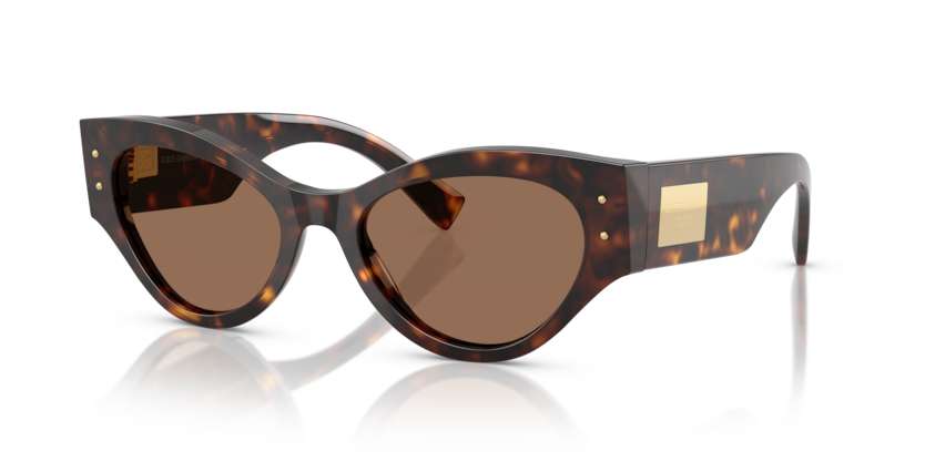Dolce & Gabbana DG4480F  Sunglasses