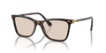 Swarovski SK6004  Sunglasses