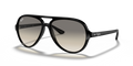 Ray-Ban RB4125 Cats 5000 Sunglasses