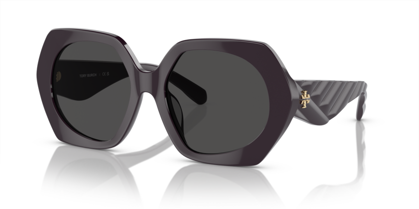 Tory Burch TY7195U  Sunglasses