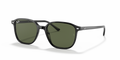 Ray-Ban RB2193 Leonard Sunglasses