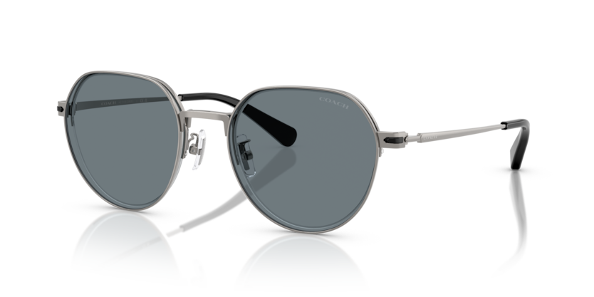 Coach HC7179 Cae81 Sunglasses