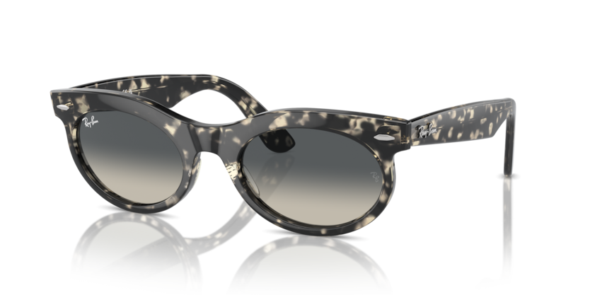 Ray-Ban RB2242 Wayfarer Oval Sunglasses