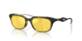 Diesel DL3013U  Sunglasses
