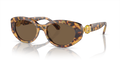 Swarovski SK6002  Sunglasses