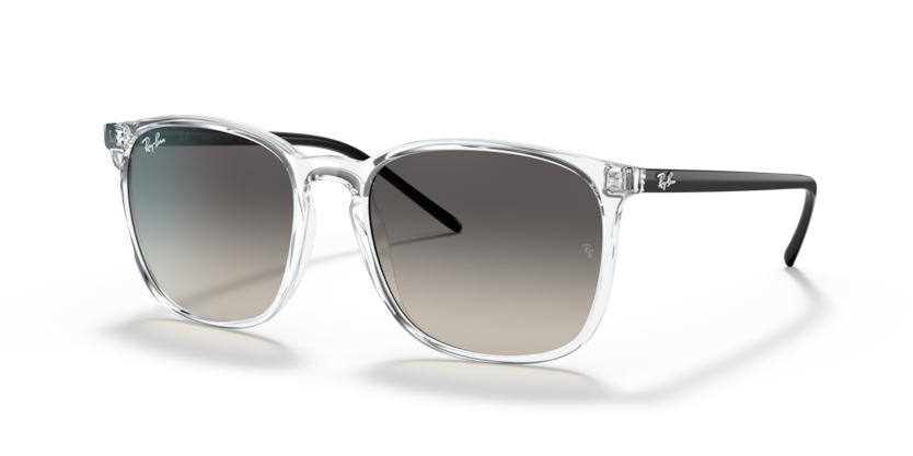 Ray-Ban RB4387  Sunglasses