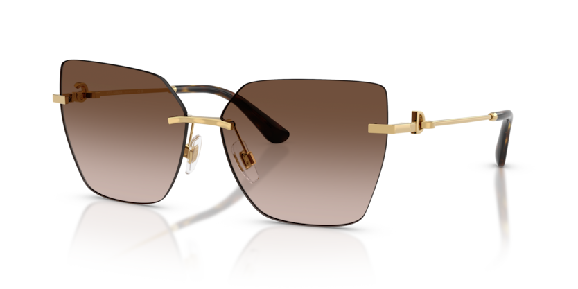 Dolce & Gabbana DG2321  Sunglasses