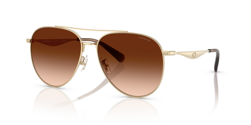 Coach HC7169 Cw193 Sunglasses