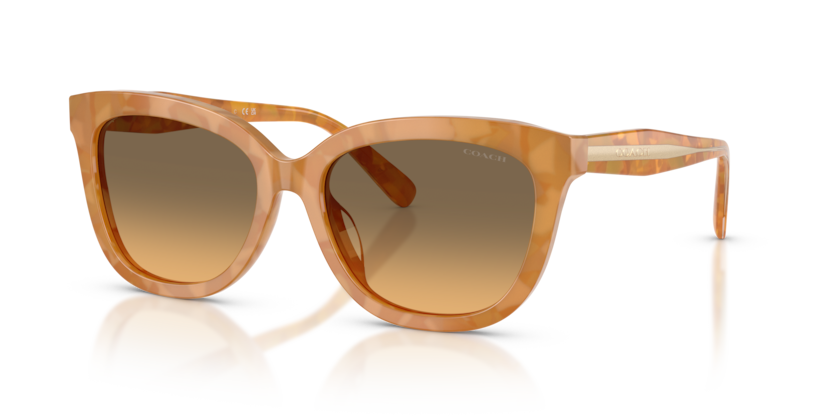 Coach HC8453U Cdp53 Sunglasses