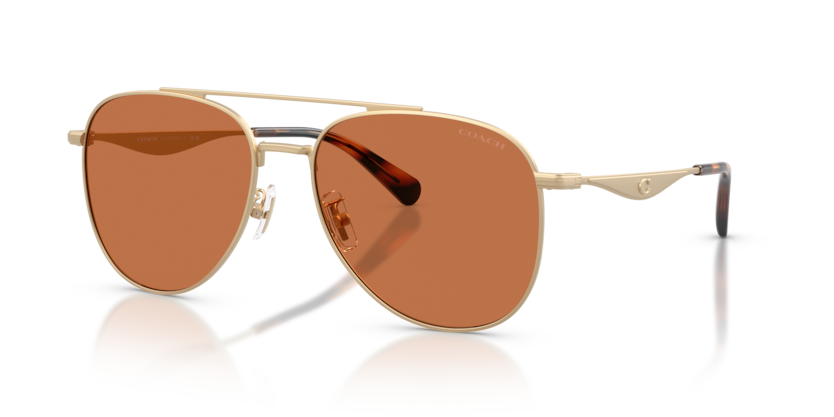 Coach HC7190 Cdp40 Sunglasses