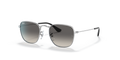 Ray-Ban Junior RJ9557S Junior Frank Sunglasses Kids