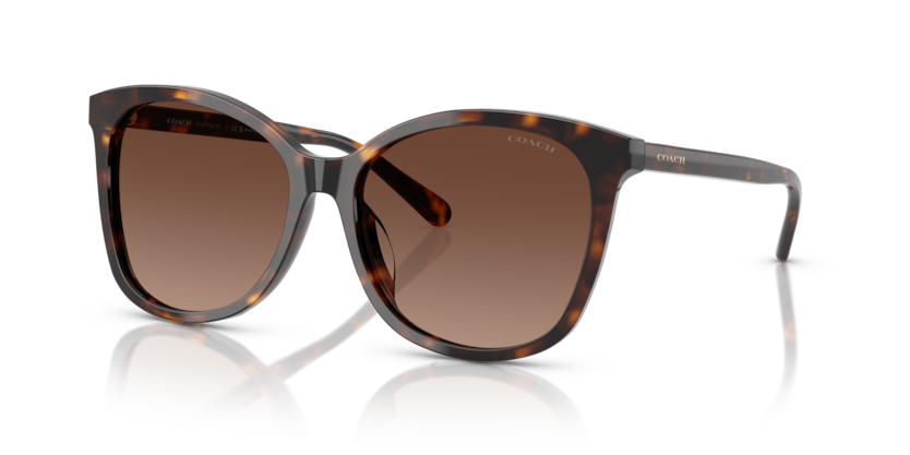 Coach HC8271U L1101 Sunglasses
