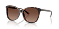 Coach HC8271U L1101 Sunglasses