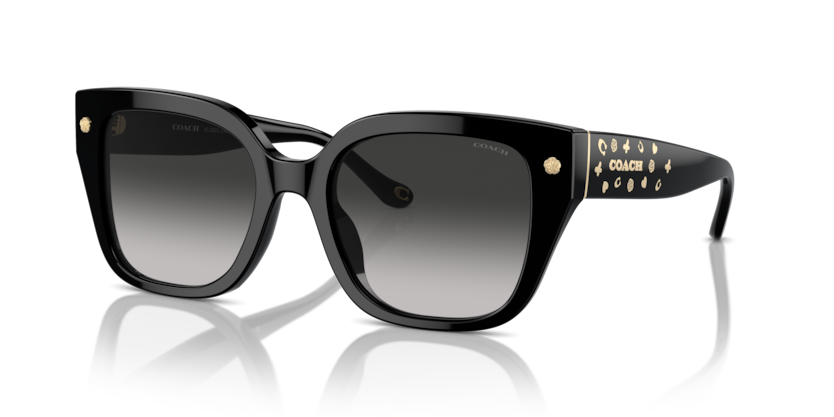 Coach HC8392U Cr611 Sunglasses